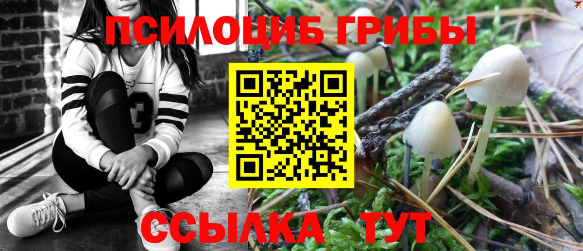 Чебаркуль  Галлюциногенные грибы MAGIC MUSHROOMS  Вход с VPN  Галлюциногенные грибы мухоморы 